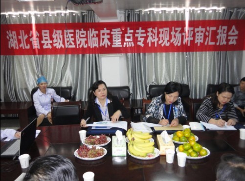 湖北省临床重点专科评审小组莅临我院开展现场评审